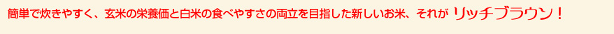 簡単で炊きやすく、玄米の栄養価と白米の食べやすさの両立を目指した新しいお米、それがリッチブラウン！